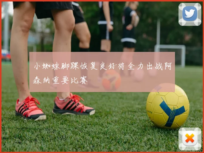 小蜘蛛脚踝恢复良好将全力出战阿森纳重要比赛